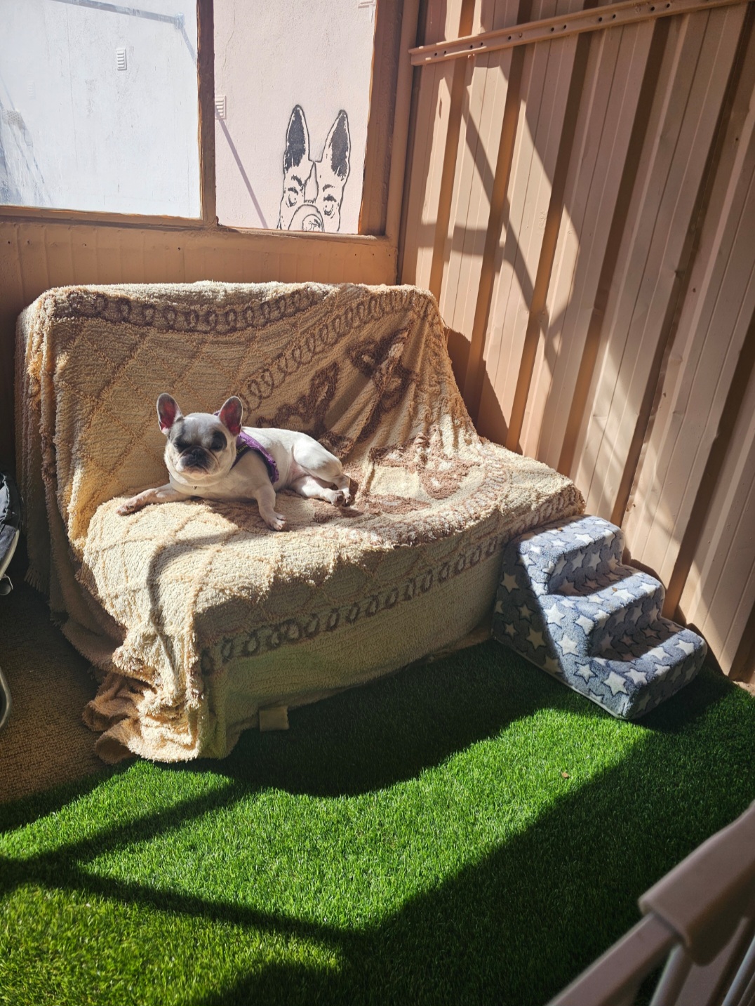 Hotel PamperedPaws - Image 3