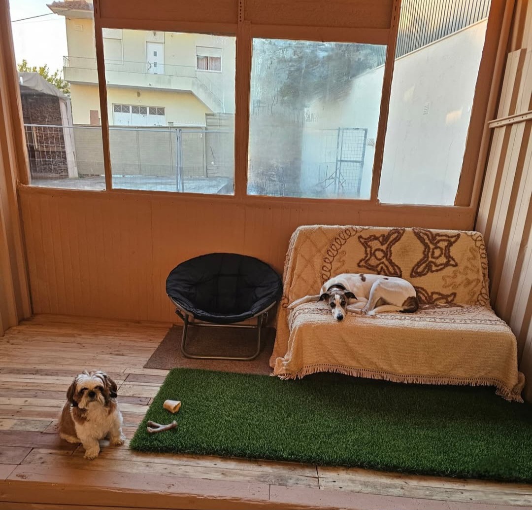 Hotel PamperedPaws - Image 4