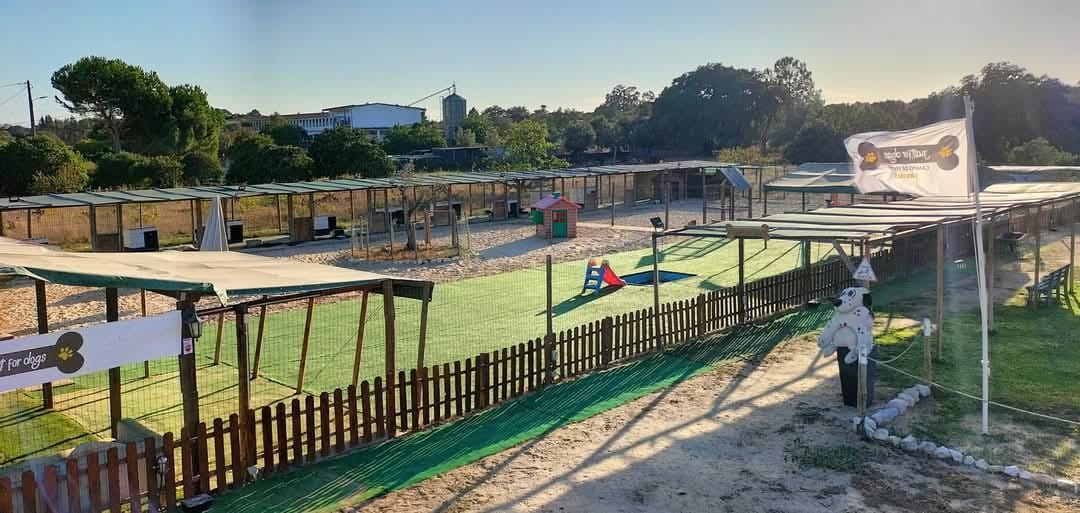 Just for Dogs - Campo de férias para cães 