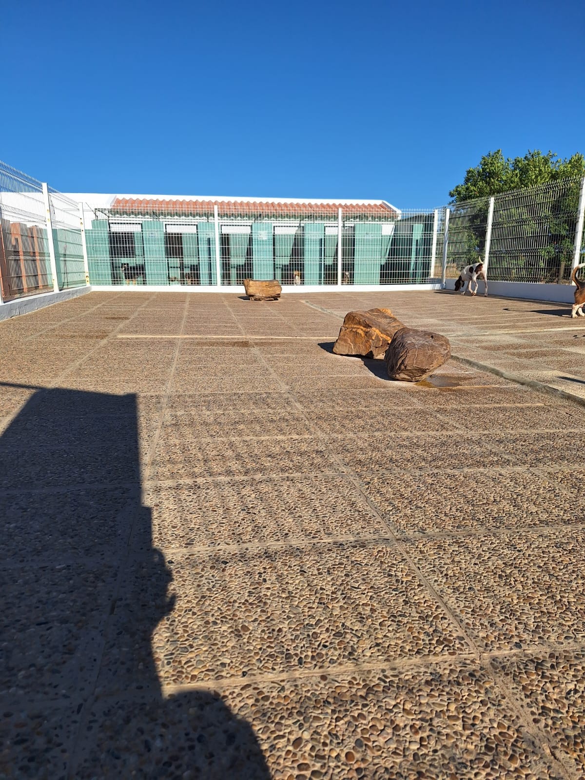 Hotel Canino Monte da Benviuda  - Image 2