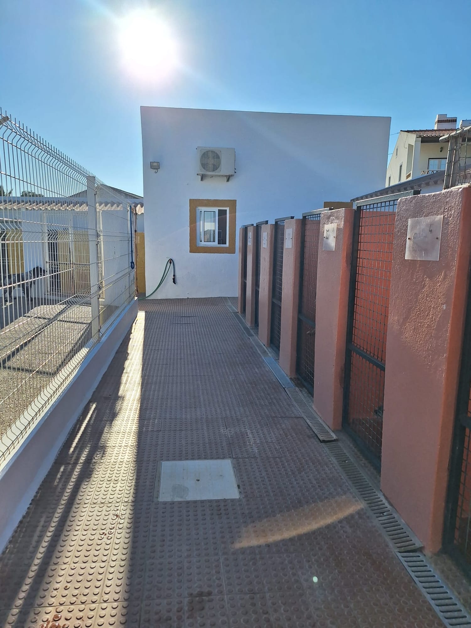 Hotel Canino Monte da Benviuda  - Image 5