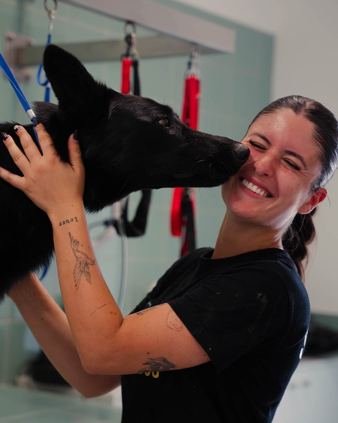 Playcare e Hotel by Train Your Dog - Image 4