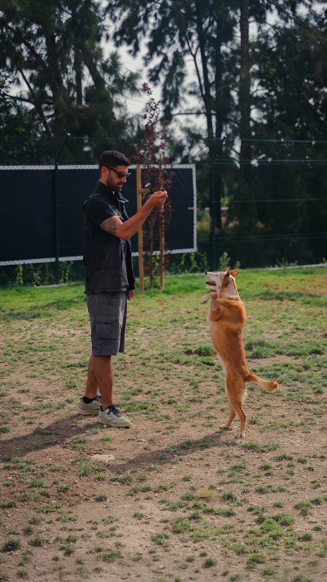 Playcare e Hotel by Train Your Dog - Image 3