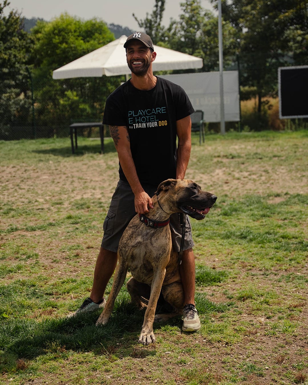 Playcare e Hotel by Train Your Dog